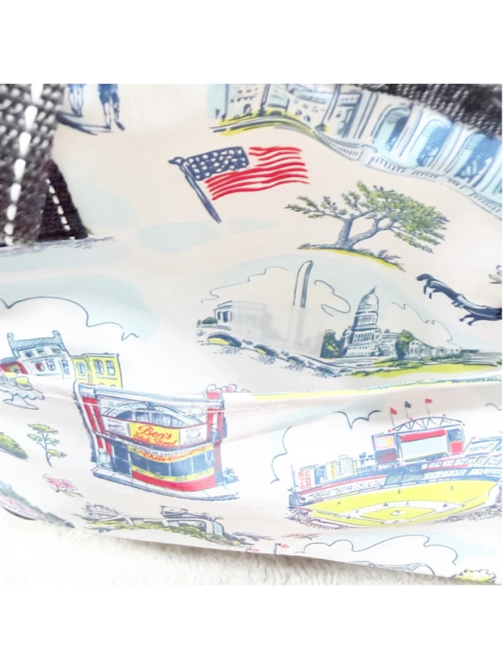 SCOUT The Stiff One Large Soft Cooler Washington DC Pattern Insulated Picnic Bag